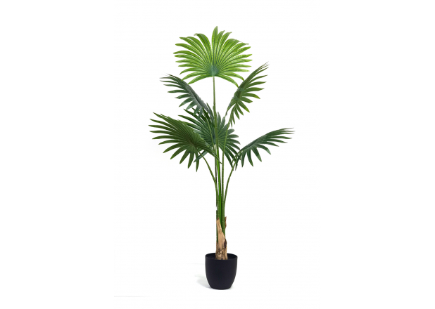 Kunstmatige plant palmboom waaier 1,20 cm