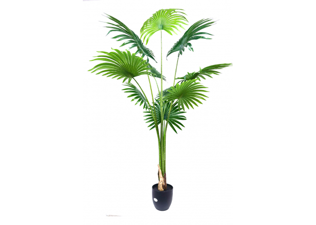 Artificial Plant Artificial Palm Fan 1.80 cm