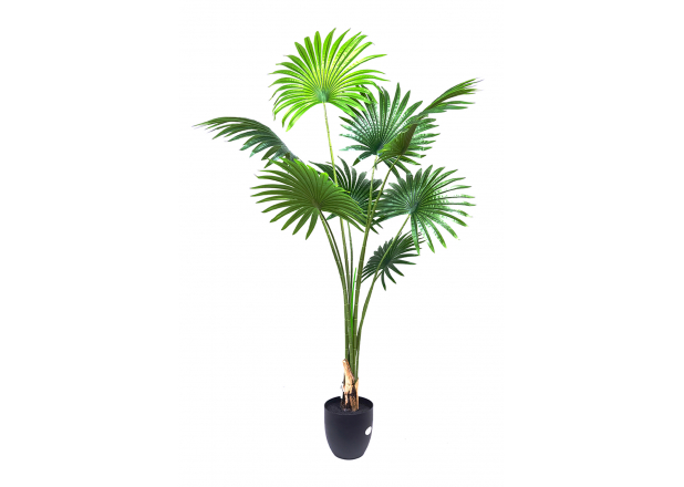 Kunstmatige plant palmboom waaier 1,60 cm