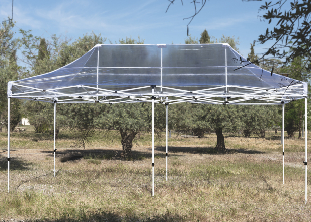 3x6 Master Tent Transparant