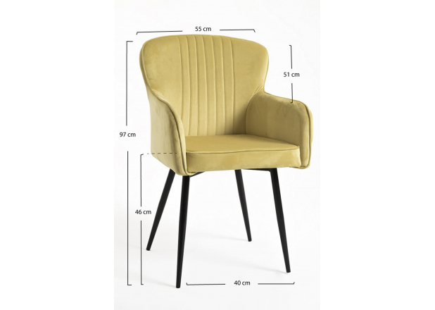 Dalye Velvet Chair