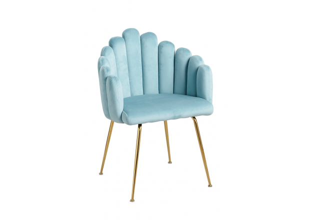 Bhoja Velvet Chair