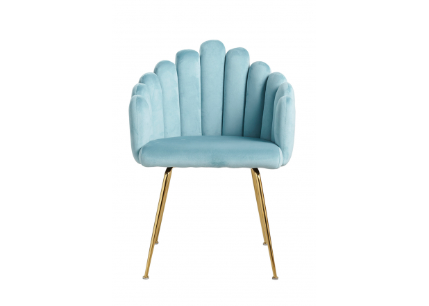 Bhoja Velvet Chair