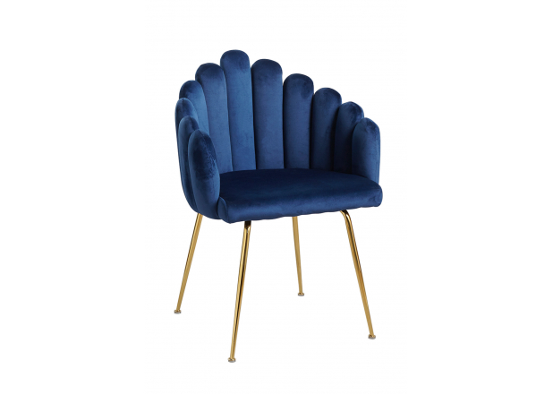 Bhoja Velvet Chair