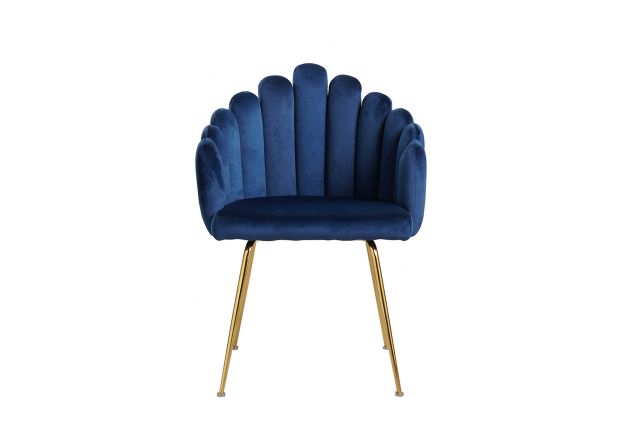 Bhoja Velvet Chair