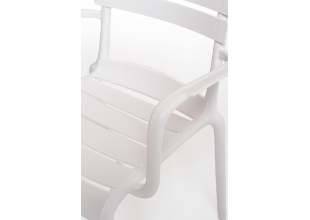 Lamix Chair with Arms