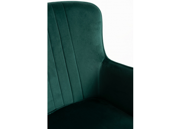 Dalye Velvet Chair