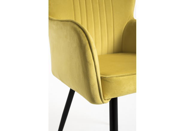 Dalye Velvet Chair