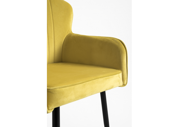 Dalye Velvet Chair